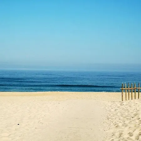 2-4 Pers. Avec Terrasse & Parking A 2 Pas Des Plages De - Fr-1-877-47
